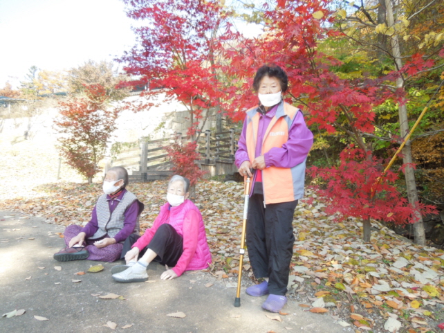 d450d6a25d3441ab7347e2ce72fe7d03.JPG